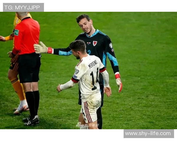 威尔士与比利时对决分析大小球走势及投注建议 威尔士与比利时对决分析大小球走势及投注建议