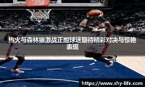 热火与森林狼激战正酣球迷期待精彩对决与惊艳表现
