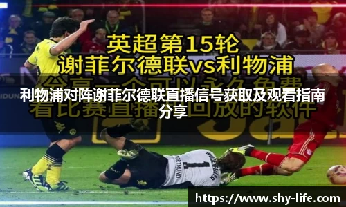 6163银河net163